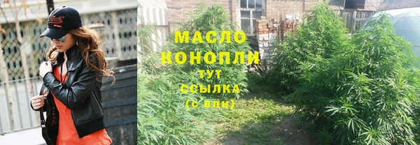 индика Бородино