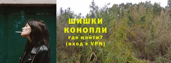 молекула духа Алапаевск