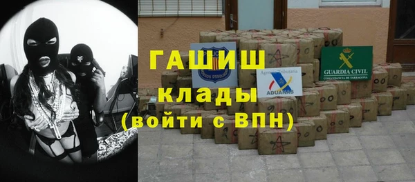 сатива Алагир