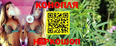 spice Абакан