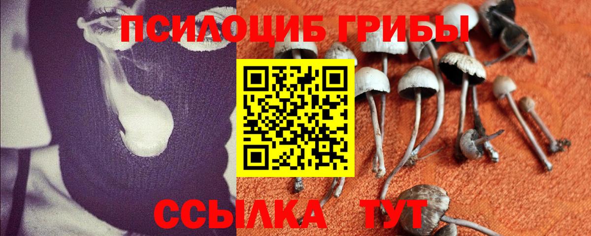 Псилоцибиновые грибы GOLDEN TEACHER  Галлюциногенные грибы Psilocybine cubensis  Асино 