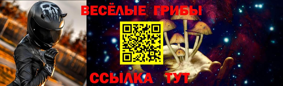 Псилоцибиновые грибы GOLDEN TEACHER Асино