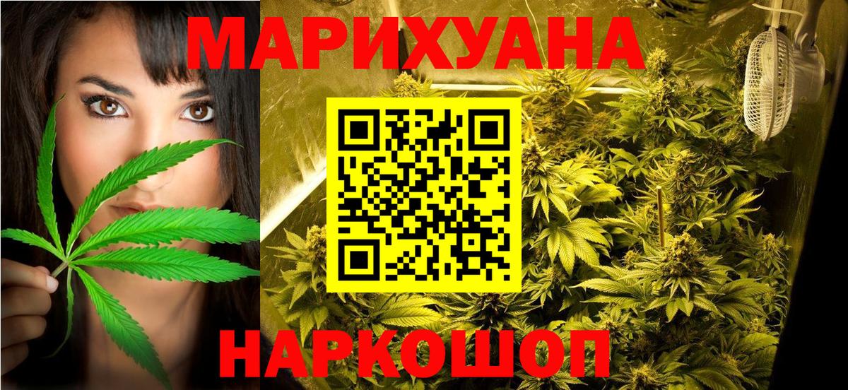 МАРИХУАНА ГИДРОПОН  Бошки марихуана SATIVA & INDICA  Асино  Канабис план  Вход с VPN 