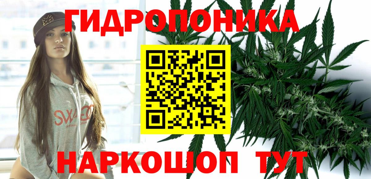 Конопля семена Асино